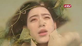 uw compilation 2