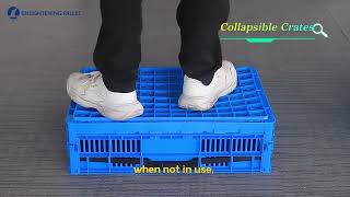 collapsible plastic crate