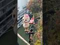 POV: Your best friend is a Japanese mascot! #ミスターヤバタン #ちぃたん #row #ノルウェー #やばたん