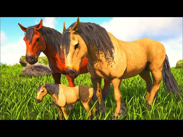 Bebê Cavalo Selvagem,Mim Deparei Com Um Carnivoro Cruel No Campo Da Paz!  Ark Dino Evolved (PT/BR) 