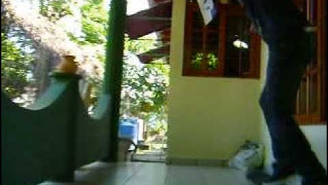 Just a Pop shuvit late flip