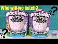 Let's Hatch Our Hatchimals Hatching Fun Surprise Egg | PSToyReviews