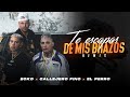 Ecko callejero fino el perro  te escapas de mis brazos remix oficial