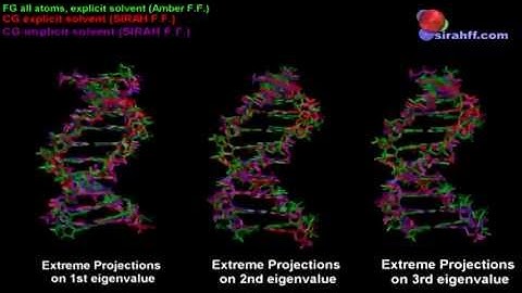 FG vs CG DNA Sirah ForceField