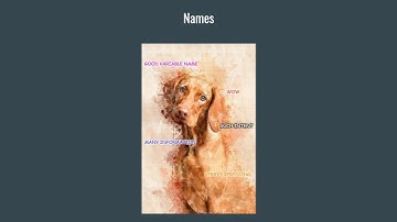 Java - How to name methods, classes and variables