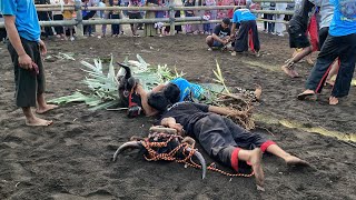KALAPAN MAHESO WAHYU BUDOYO PEBRIKAN PONCOKUSUMO
