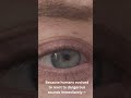 This Sound Terrifies Humans Instantly 😨