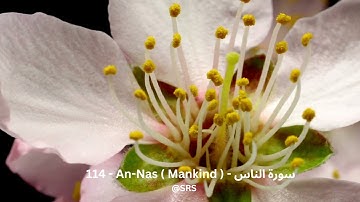114 An Nas Mankind سورة الناس সূরা নাস