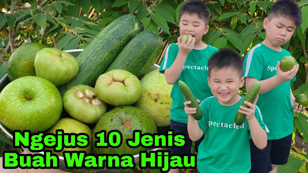 Ngejus 10 Buah Warna Hijau Yang Ada Di Tanjung Balai Karimun Youtube
