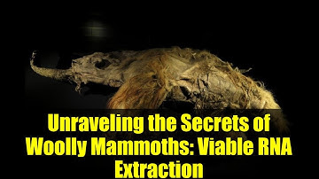 Unraveling the Secrets of Woolly Mammoths: Viable RNA Extraction