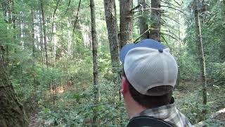 Wild Rogue Sasquatch Silver Creek Bigfoot