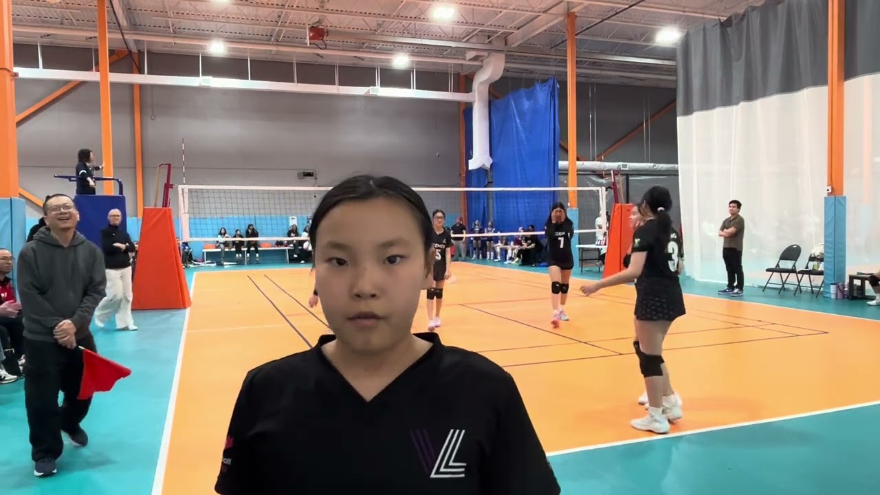 Synergy Dynamite Blue Set 2