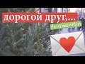 ДОРОГОЙ ДРУГ... Почему я люблю декабрь? || #ulieholidays | Улилай