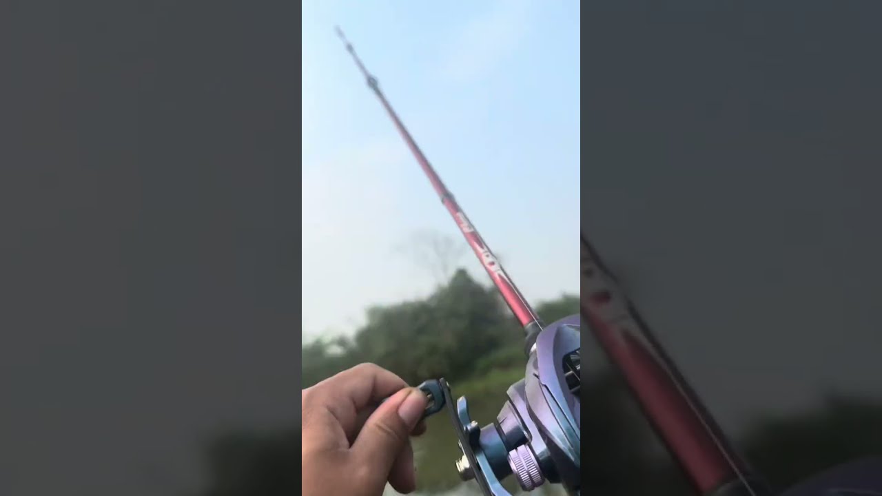 va em hàng khủng và cái kết phút cuối