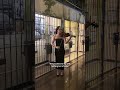 Prison fiddler #violin #violintune #explorepage #fiddle #playviolinwithoutnotes #music #fiddlemusic