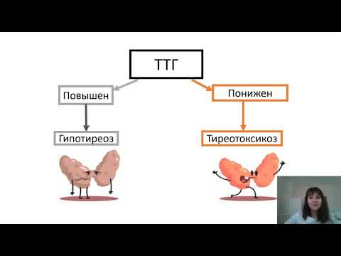 Заболевания щитовидной железы лекция