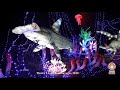 Electric Nights Festivals-Thoiry Lumières Sauvages 2018 to 2020