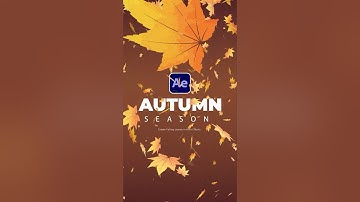 Bring Fall to After Effects | Seasonal Falling Leaf Particle Effect #tutorial
