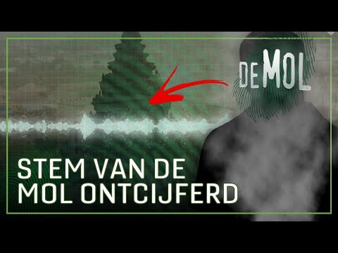 DE STEM VAN
