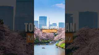 4 recommendations of cities you can't miss and when is the best time to visit⬆️