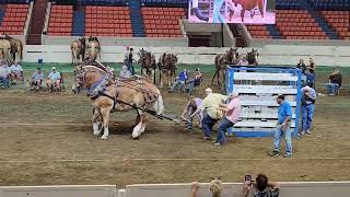 Bluegrass Horse Pull Heavyweights at Kentucky State Fair September 2023