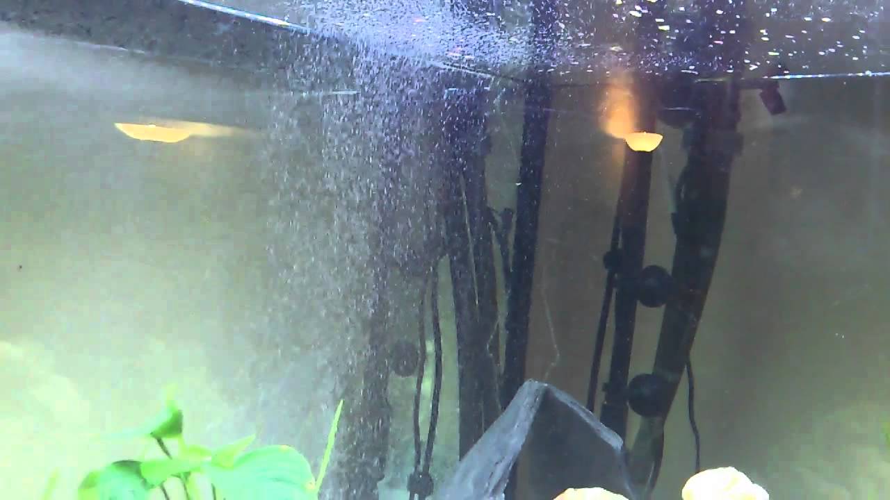 Hydor bubble maker h2show - YouTube