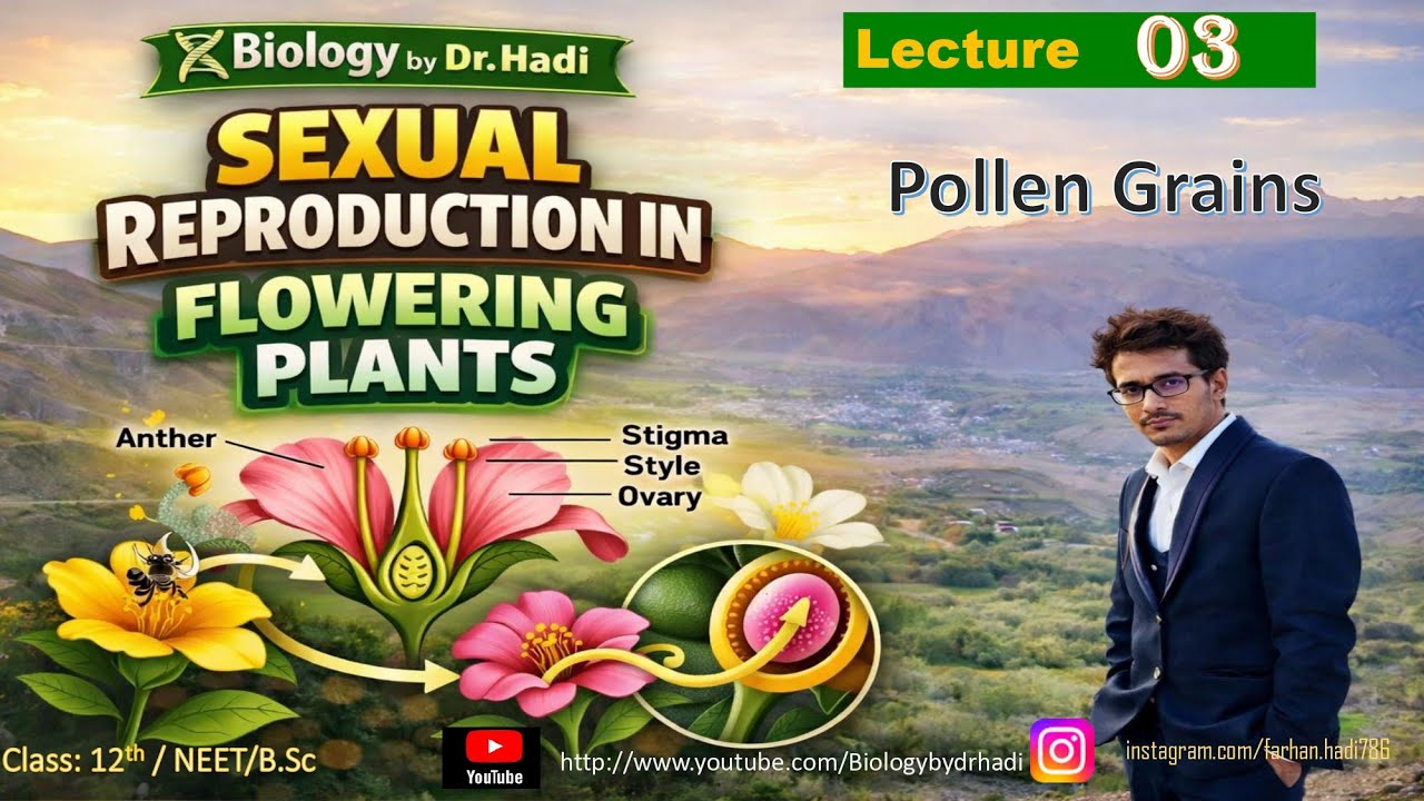 Microspores || Pollen grains [12th]