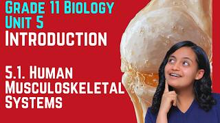 Grade 11 Biology Unit 5: Introduction 5.1 Human Musculoskeletal Systems | Saquama
