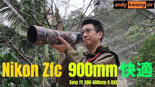 實測鳥攝900mm = Nikon Zfc x Sony FE 200-600mm G OSS x Megadap ETZ21 Pro 最抵玩的900mm鳥攝組合 尤德觀鳥園