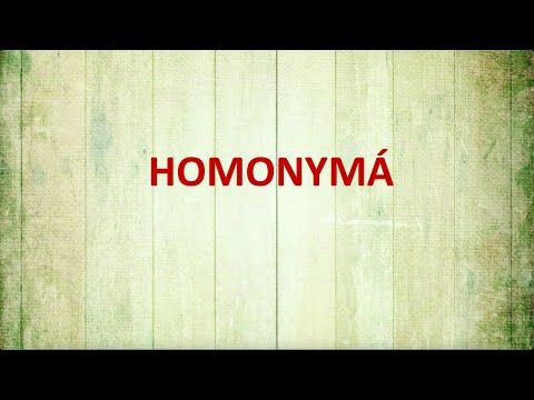 Video: Čo Sú To Homonymá