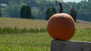 Pumpkin season kicks off at Flinchbaugh’s Orchard and Farm