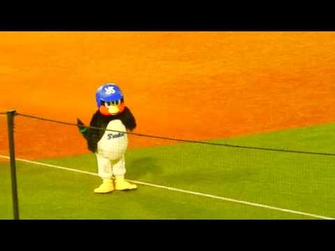 【10/29】ごめんなさいのKissing Youつば九郎【神宮球場】