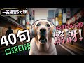 40句日語口語,日本人都會對你刮目相看!| Ep.195