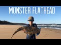 Huge fish lurking in the shallows 94cm flathead