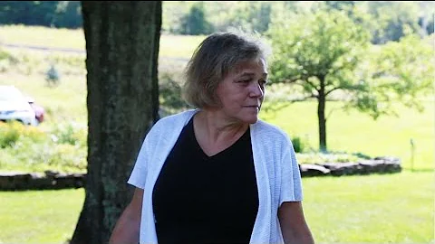 Lori Glavin - Abstract Painter - Bovina Open Barn ...