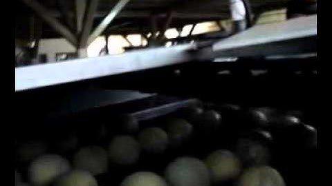 Eshet Eilon Melon Sizer.wmv