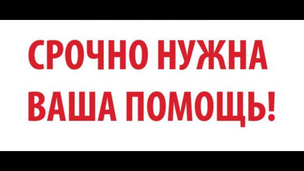 Срочно нужна тысяча. Нужна ваша помощь. Срочно требуется сопровождающий. Срочно нужна помощь картинки. Внимание поменялась карта.