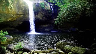 Relaxing Rain & Soothing River Sounds Near a Beautiful Waterfall in the Rocky Mountains - 10 Hours