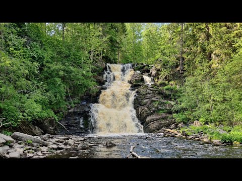 Видео: Водопад Белые Мосты июнь 2023
