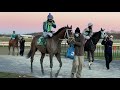 Trainer Scott Lake wins 3 at Parx on 12/2/2020