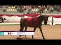 RE-LIVE | FEI Vaulting World Championship for Young Vaulters - Compulsory test (Male & Female)