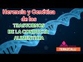 HERENCIA Y GENÉTICA de los Trastornos de la Conducta Alimenticia (TCA).