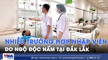 Nhiều trường hợp nhập viện do ngộ độc nấm tại Đắk Lắk - VNA