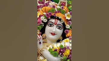 ✨🕊️one solution to all the problems...!😩 #krishna #song #radha3181 #radha #status #shyam #bhakti