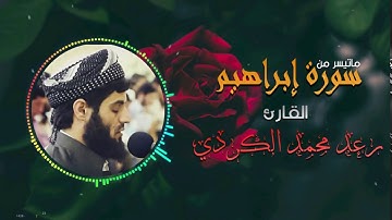تلاوة عجيبة من سورة إبراهيم للقارئ رعد محمد الكردي