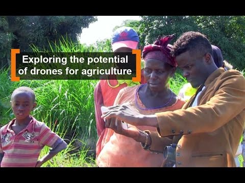 Cameroon: Exploring the potential of drones for agriculture