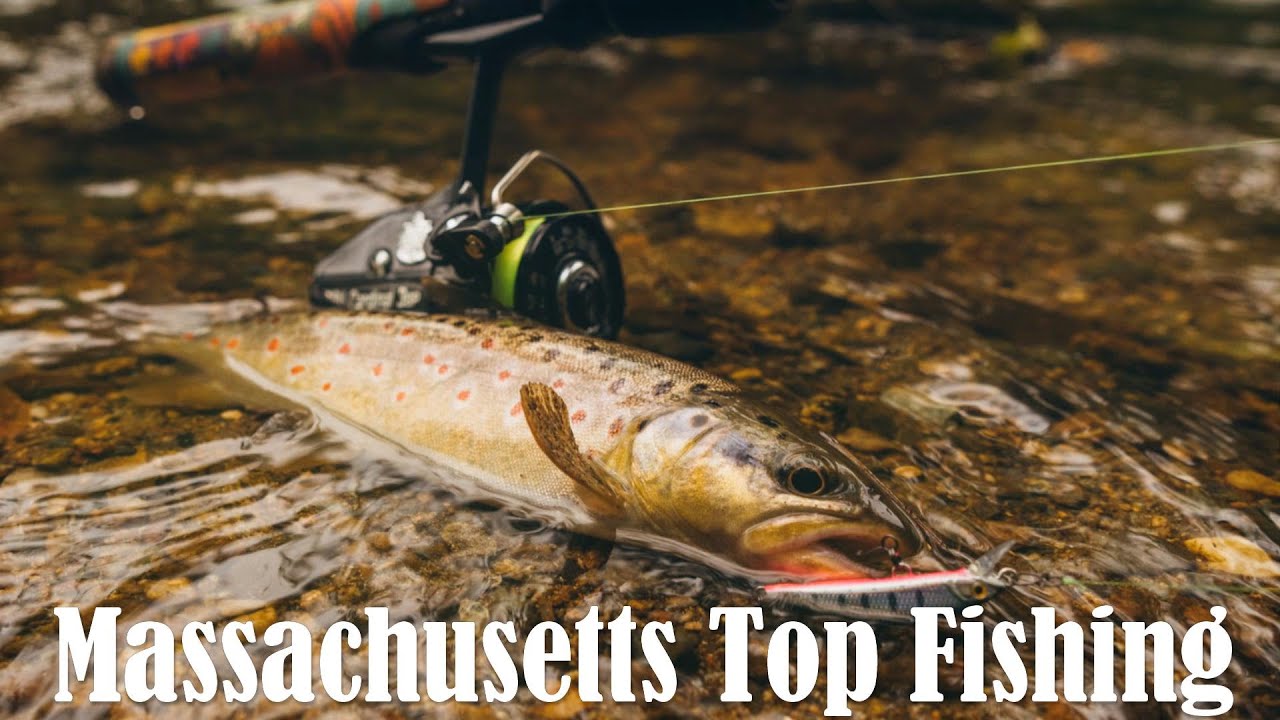 Топ-10 мест для рыбалки в Массачусетсе
