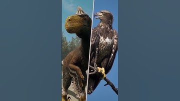 Achillo skins - animal inspo! #shorts