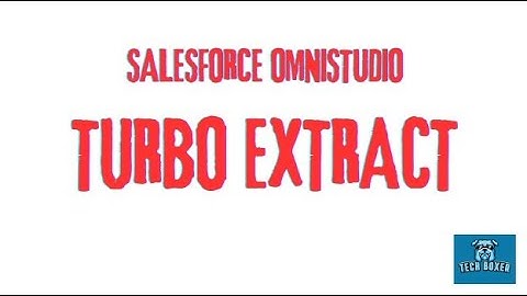 Omnistudio Turbo Extract Data Mapper | Salesforce Omnistudio