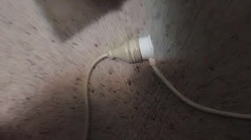 Einstein - de Haas Experiment